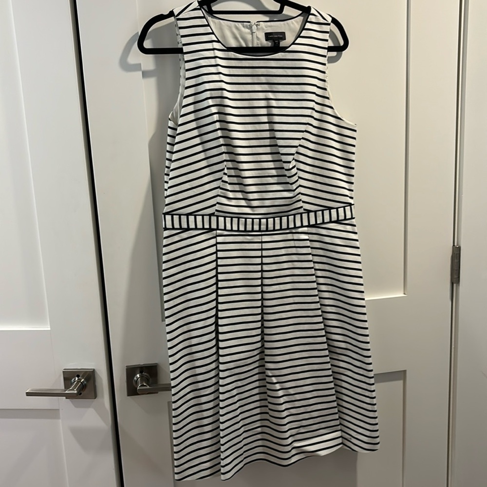 Size 14 Tall The Limited Dress